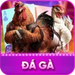da ga 1 150x150 1