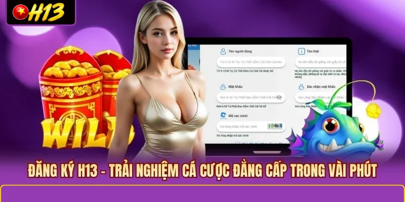 đăng ký H13