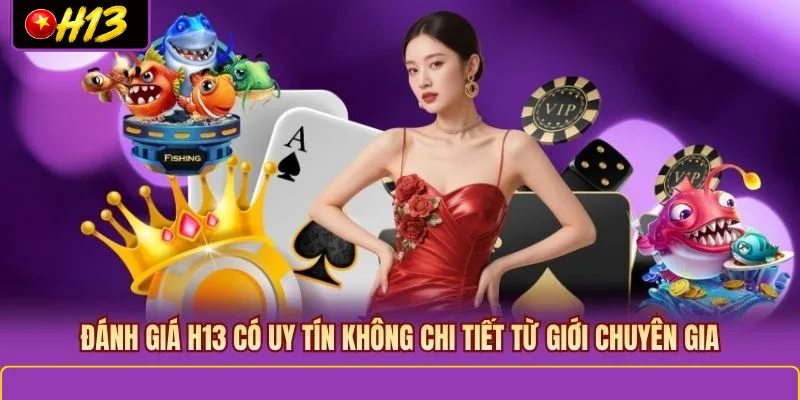 H13 có uy tín không