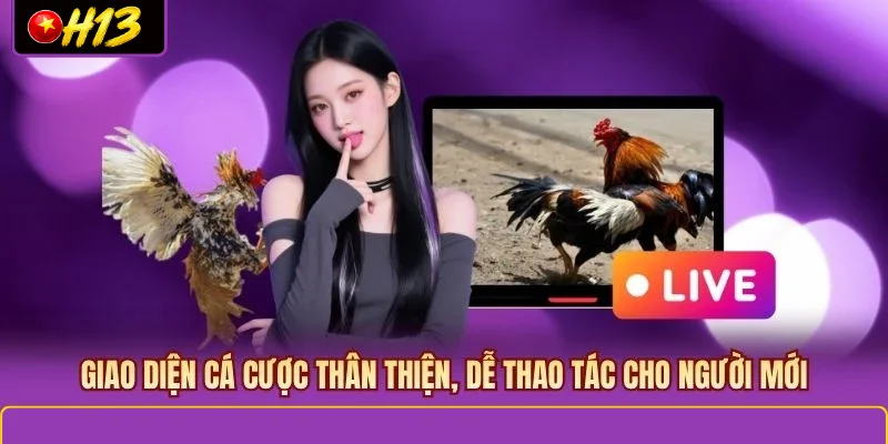 Giao diện cá cược thân thiện, dễ thao tác cho người mới