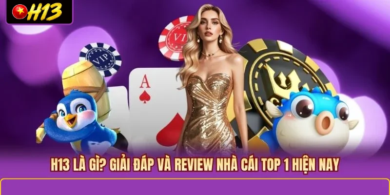 H13 là gì