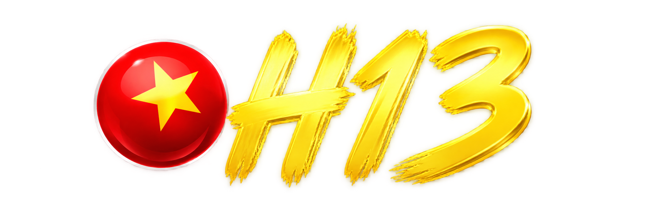 h13