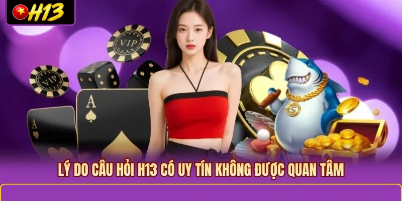 Lý do câu hỏi H13 có uy tín không được quan tâm