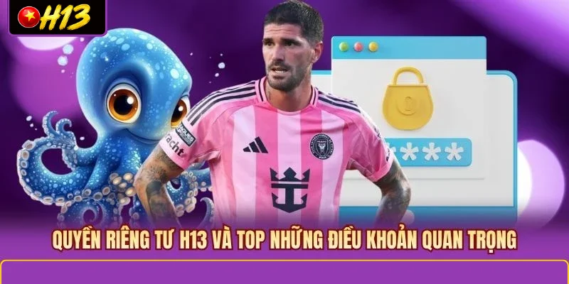 Quyền riêng tư H13 và top những điều khoản quan trọng