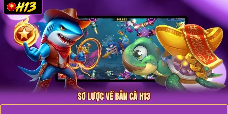 Sơ lược về bắn cá H13